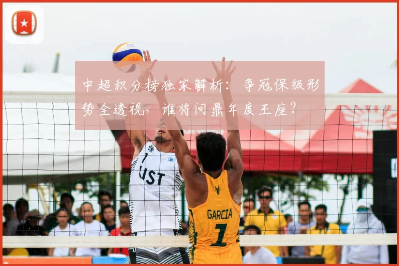 中超积分榜独家解析：争冠保级形势全透视，谁将问鼎年度王座？